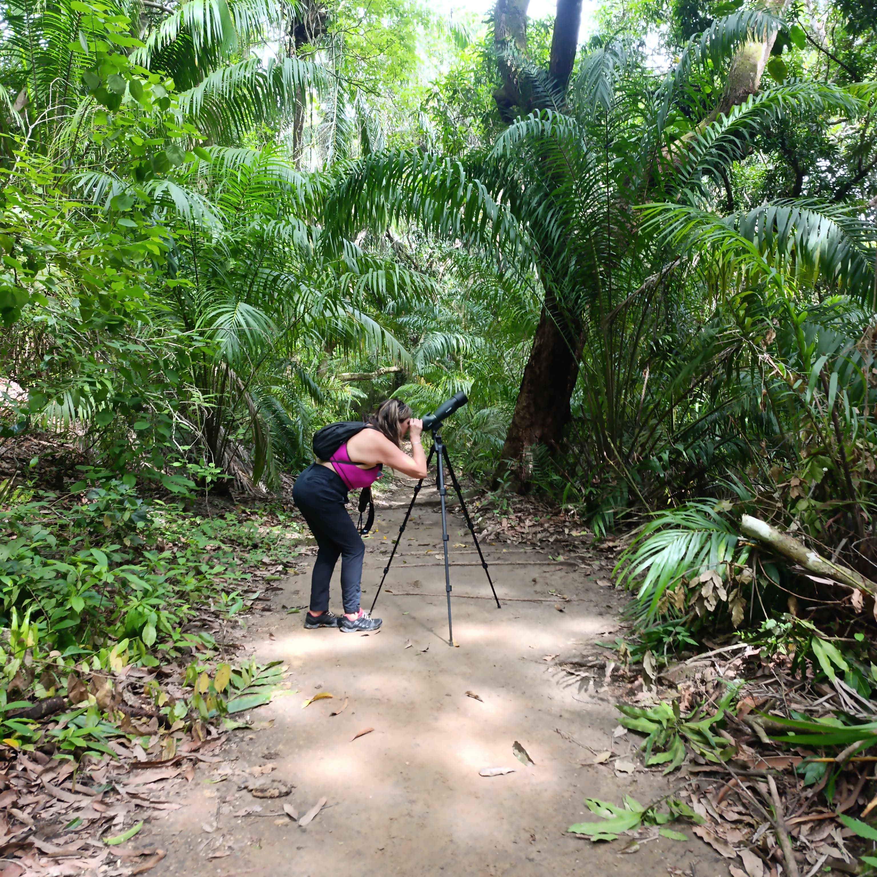 Curu Reserve Wildlife Tour