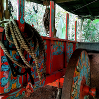 <b>Farm and Costa Rican Culture</b>