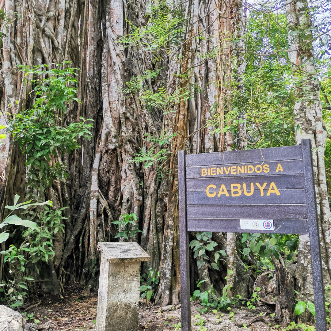 Montezuma Waterfalls - Cabuya Island in Costa Rica